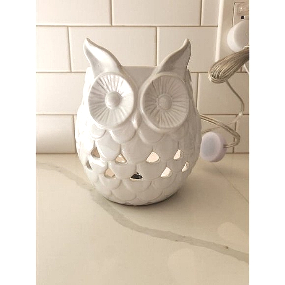 Yankee Candle Company Owl Wax Warmer